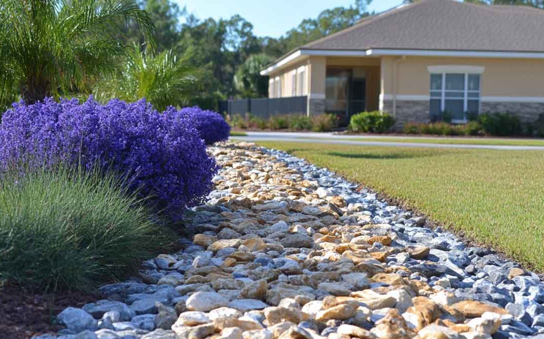 2025 Landscaping Trends for The Villages, FL