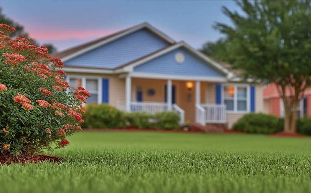 Lawn Fertilization in The Villages, FL | Healthy Lawn Tips